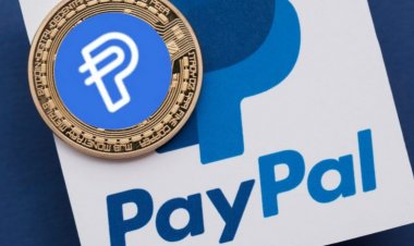 PayPal is Working on Its Own StableCoin: PayPal Coin Logo Found in iOS App within PayPal App