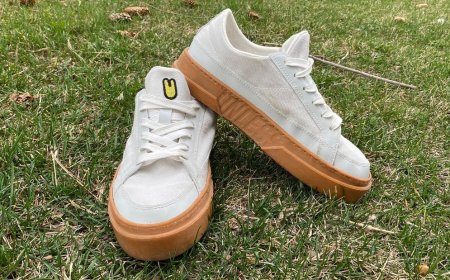 50+ products to make your life easier and our planet cleaner